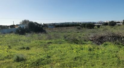 Terrain à Faro (Sé e São Pedro) de 10 440 m²