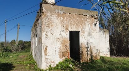 Terrain à Faro (Sé e São Pedro) de 10 440 m²