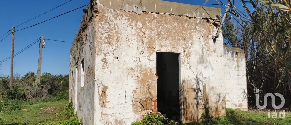 Terreno em Faro (Sé e São Pedro) de 10 440 m²