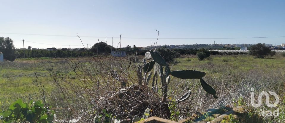 Terreno em Faro (Sé e São Pedro) de 10 440 m²