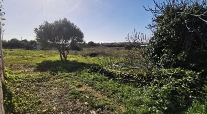 Terrain à Faro (Sé e São Pedro) de 10 440 m²