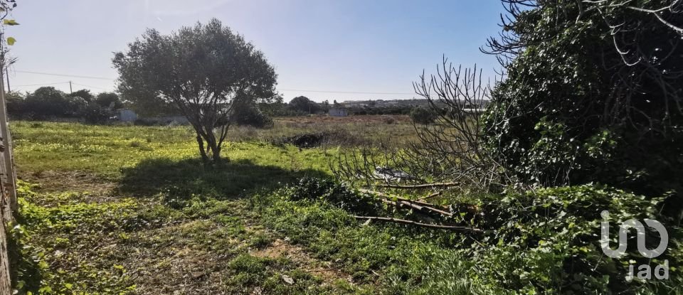 Terreno em Faro (Sé e São Pedro) de 10 440 m²