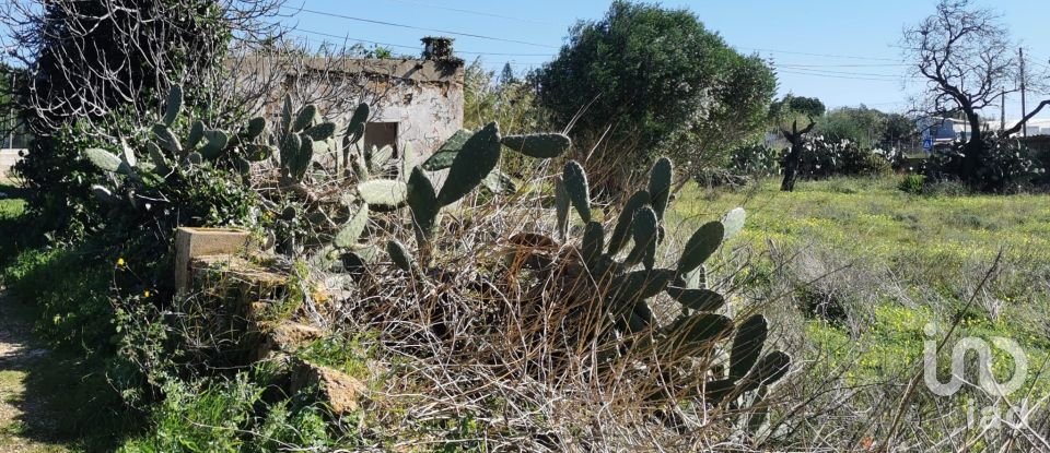 Terreno em Faro (Sé e São Pedro) de 10 440 m²