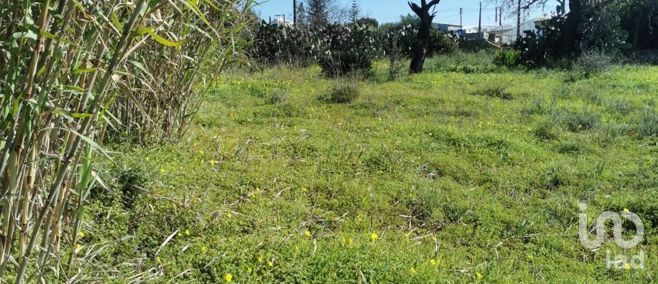 Terreno em Faro (Sé e São Pedro) de 10 440 m²