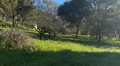 Terrain à bâtir à Bárrio de 4 902 m²