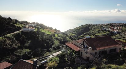 Terrain à bâtir à Arco da Calheta de 867 m²