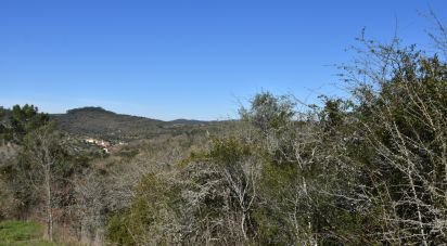 Terrain à Chãos de 2 000 m²