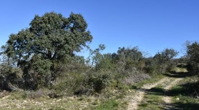 Land in Chãos of 2,000 m²