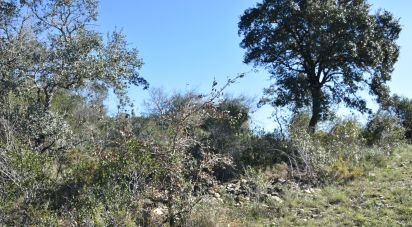 Terrain à Chãos de 2 000 m²