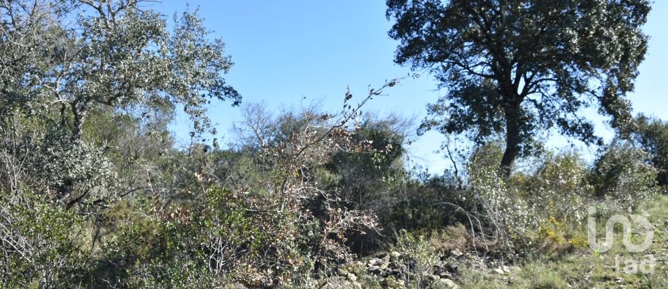Land in Chãos of 2,000 m²