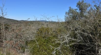 Terrain à Chãos de 2 000 m²