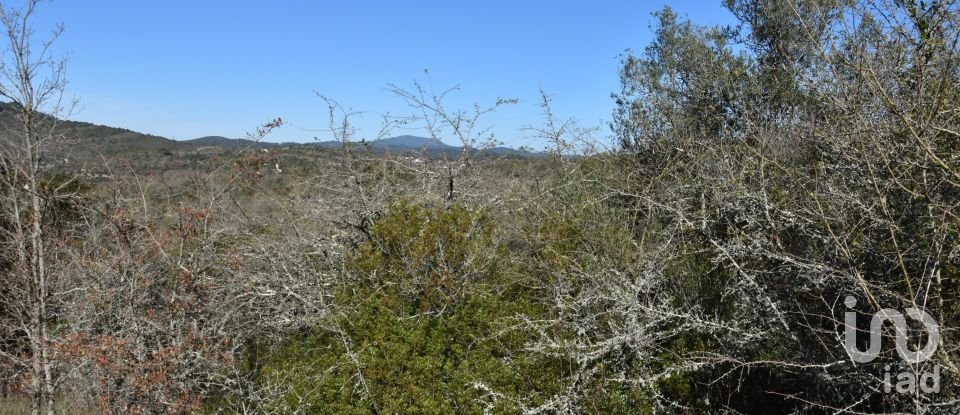 Land in Chãos of 2,000 m²