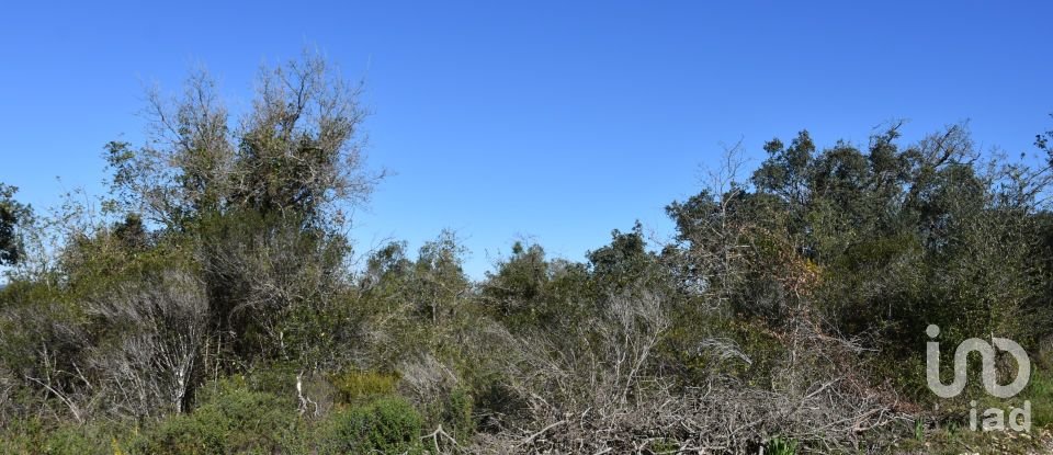 Land in Chãos of 2,000 m²