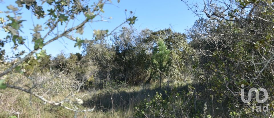 Land in Chãos of 2,000 m²