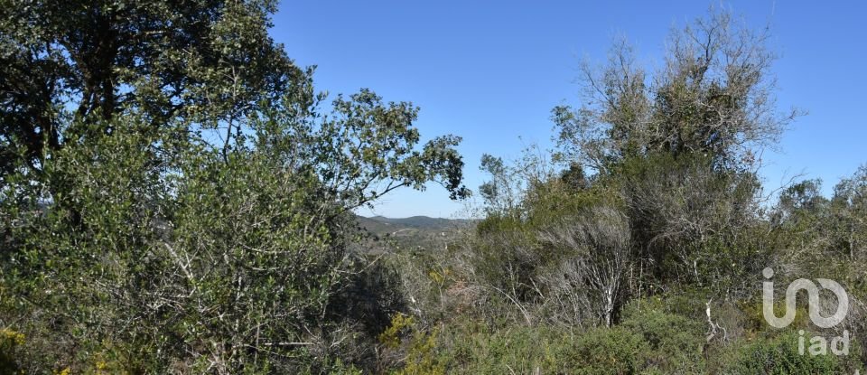 Land in Chãos of 2,000 m²