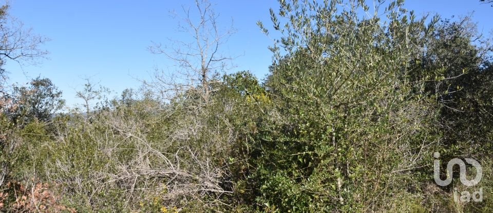 Land in Chãos of 2,000 m²