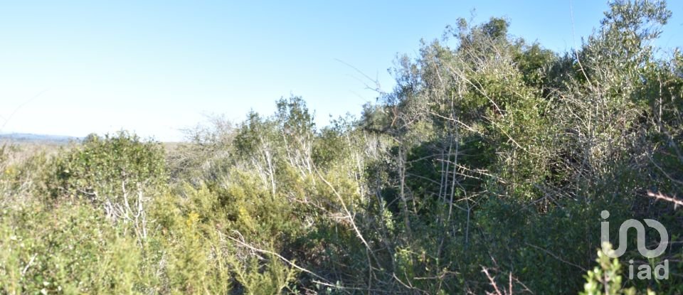 Land in Chãos of 2,000 m²