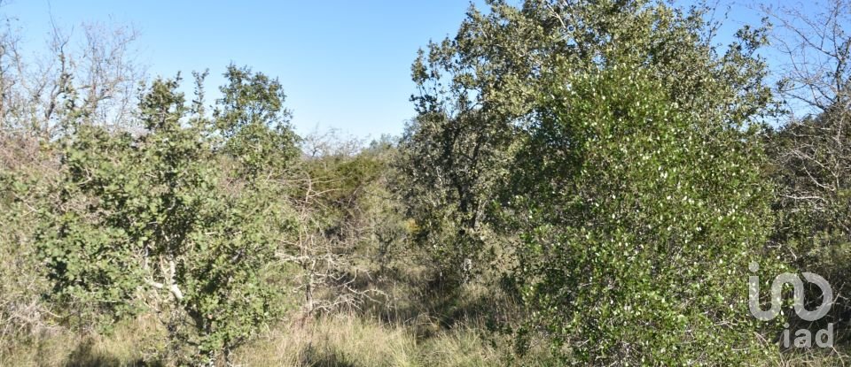 Land in Chãos of 2,000 m²