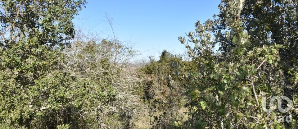 Land in Chãos of 2,000 m²