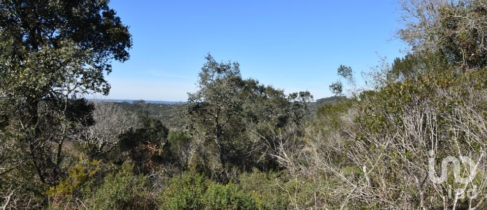 Land in Chãos of 2,000 m²