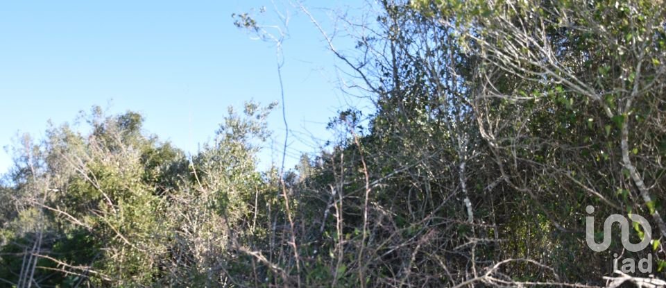 Land in Chãos of 2,000 m²