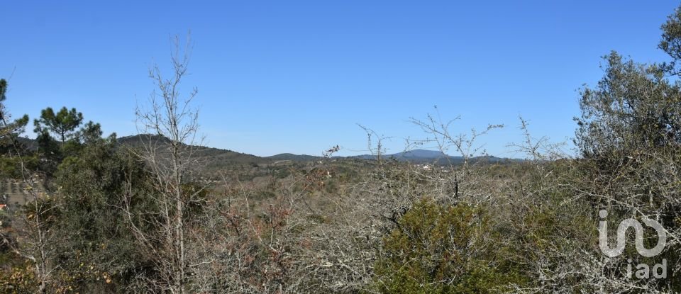 Land in Chãos of 2,000 m²