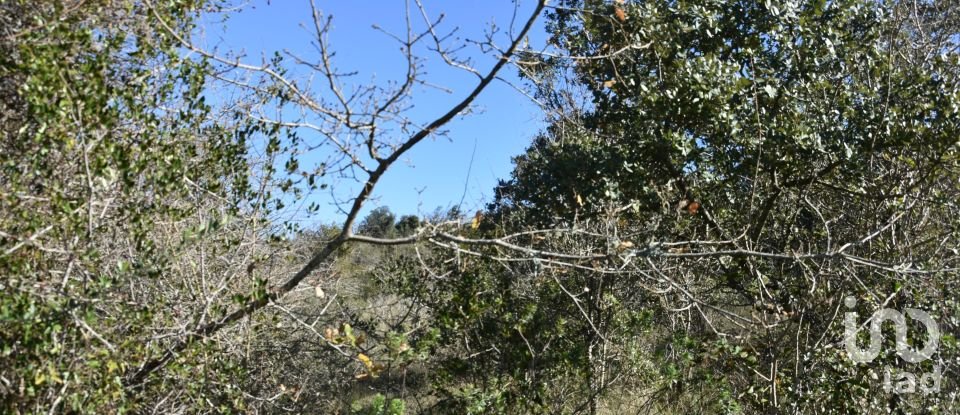 Land in Chãos of 2,000 m²