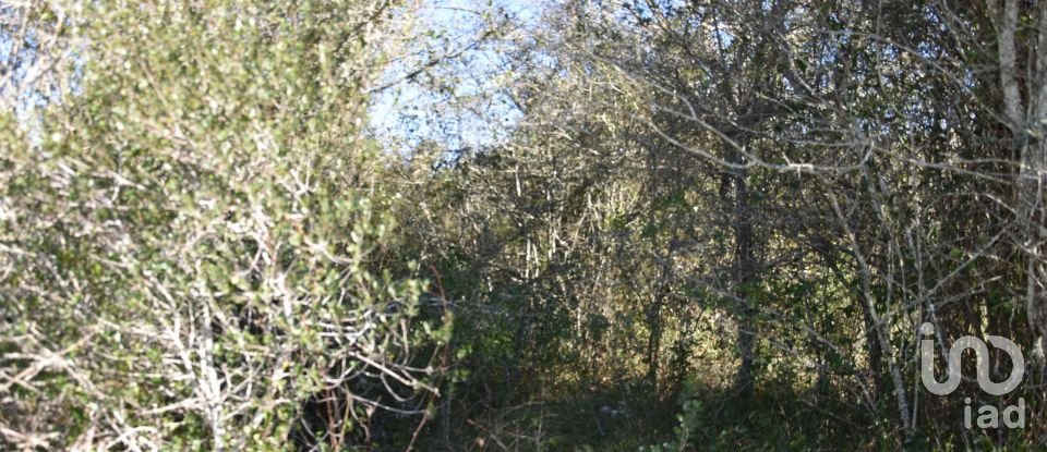 Land in Chãos of 2,000 m²