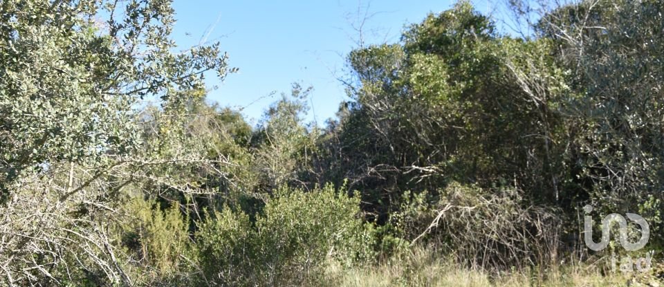 Land in Chãos of 2,000 m²