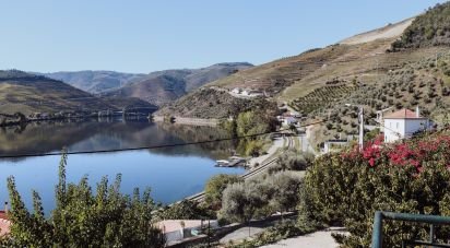 Ferme T6 à Galafura e Covelinhas de 679 m²