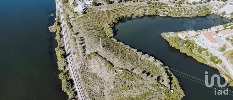 Ferme T6 à Galafura e Covelinhas de 679 m²