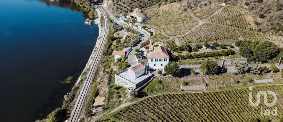 Ferme T6 à Galafura e Covelinhas de 679 m²