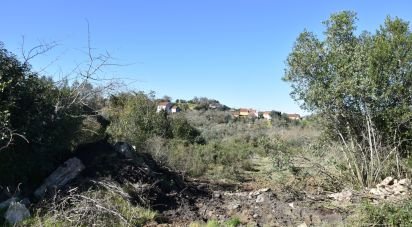 Terrain à Chãos de 2 160 m²