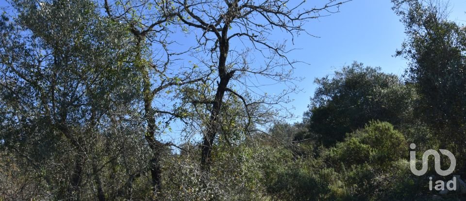 Terrain à Chãos de 2 160 m²