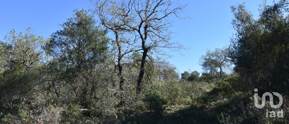 Terrain à Chãos de 2 160 m²