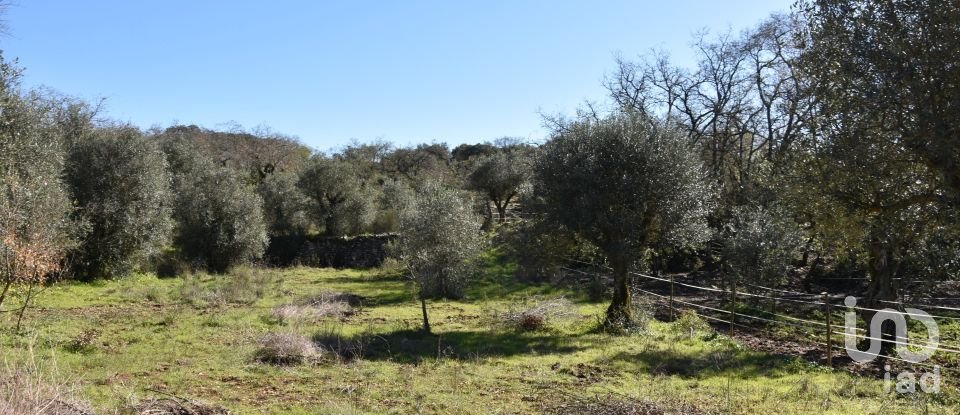 Terrain à Chãos de 2 160 m²