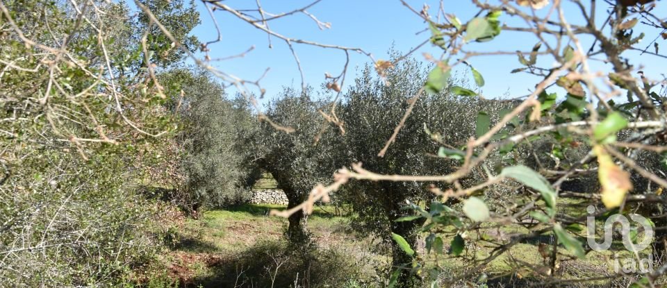 Land in Chãos of 800 m²