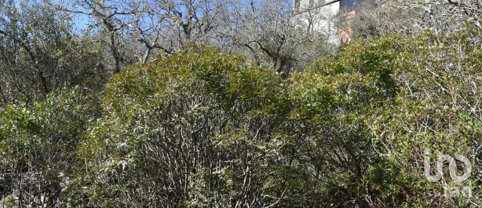 Land in Chãos of 800 m²