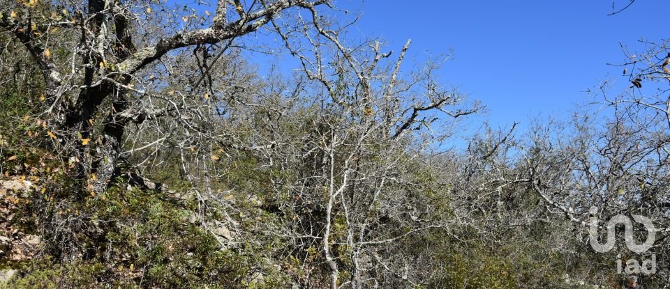 Land in Chãos of 800 m²