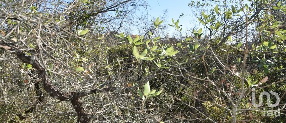 Land in Chãos of 800 m²