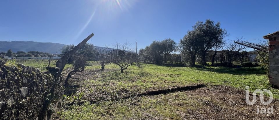 Maison traditionnelle T1 à Gândaras de 160 m²