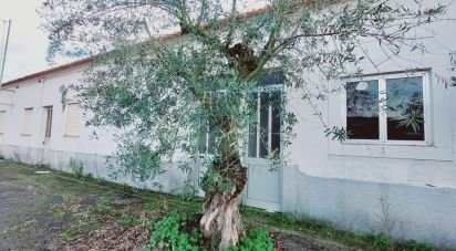 Moradia T4 em Porto de Mós - São João Baptista e São Pedro de 446 m²