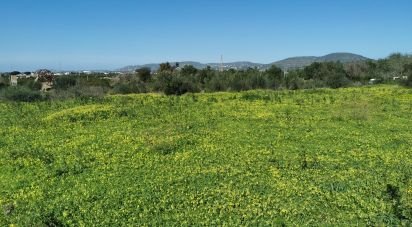 Terrain à Conceição e Estoi de 18 880 m²