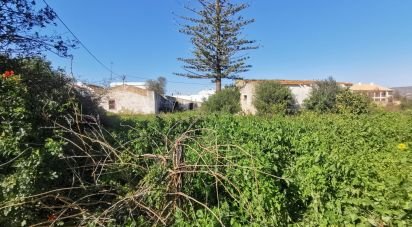 Terrain à Conceição e Estoi de 18 880 m²