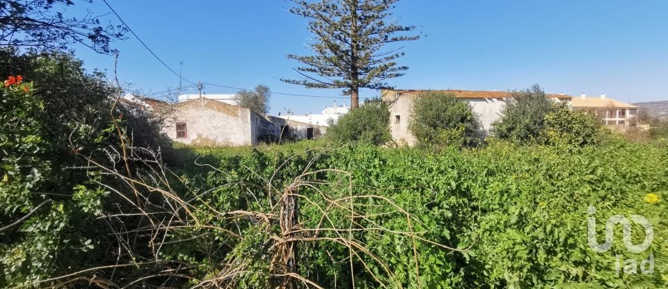 Terrain à Conceição e Estoi de 18 880 m²