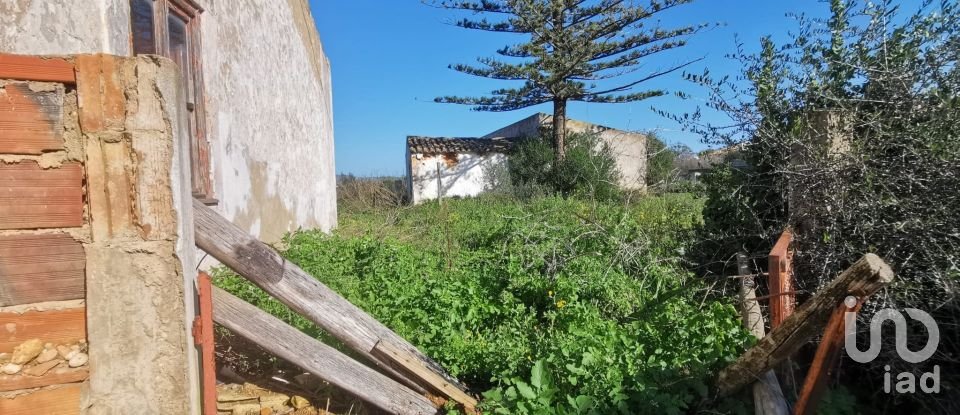 Terrain à Conceição e Estoi de 18 880 m²