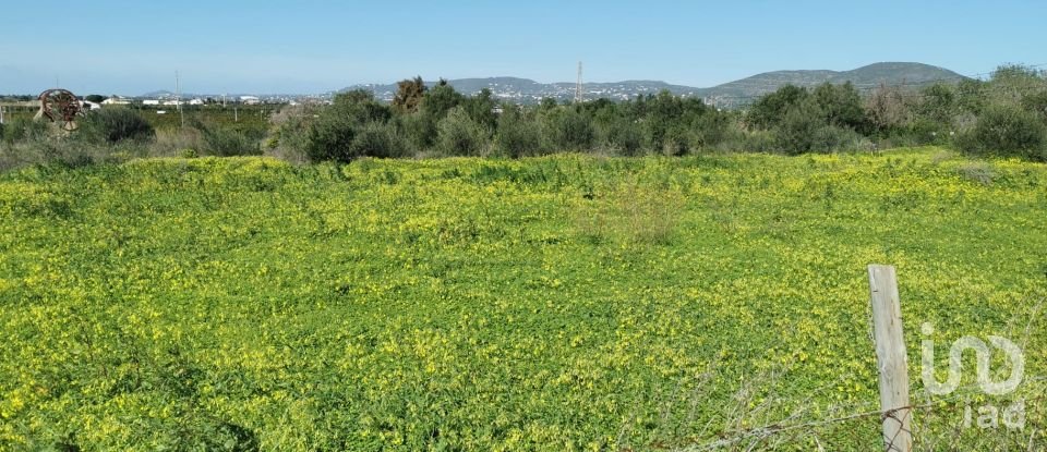 Terrain à Conceição e Estoi de 18 880 m²