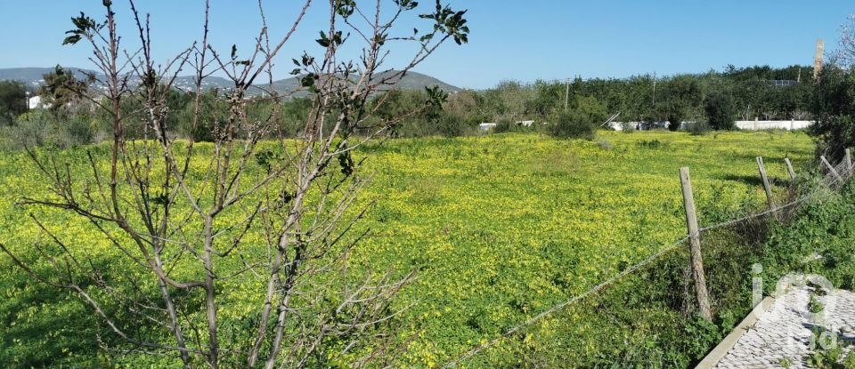 Terrain à Conceição e Estoi de 18 880 m²