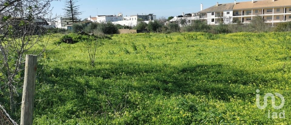 Terrain à Conceição e Estoi de 18 880 m²