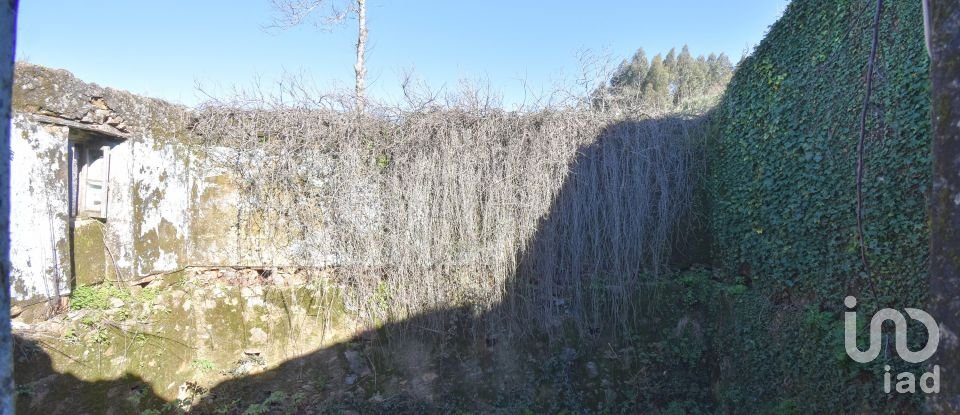 Maison de village T0 à Espinhal de 216 m²